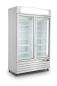 Preview: SARO Tiefkühlschrank mit 2 Glastüren, Modell D 800 - weiß
